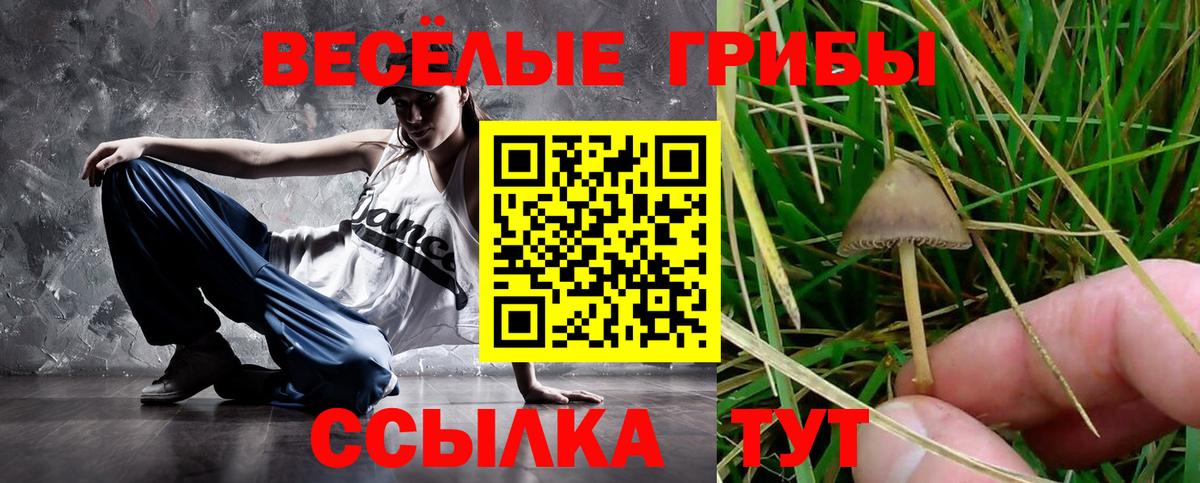 Ковров  наркошоп  Вход с VPN  Галлюциногенные грибы GOLDEN TEACHER 